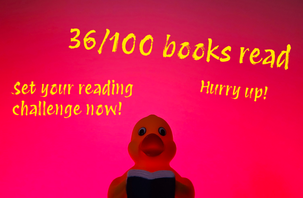 Book Talk: The Problem with Reading Goals